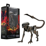Figura Aliens Fireteam Elite 7" Neca Serie 1 Neca NC-51723