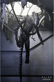 FIGURA Alien Romulus Suspended Lab Xeno 7"  Neca NC-51743