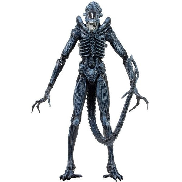 ALIENS WARRIOR ALIEN セラミッククッキージャー Warrior Alien Ceramic Cookie Jar Unboxing - YouTube