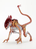 Figura Alien Pantera 7" 19CM Tributo a Kenner Neca NC-51715