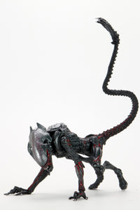 Figura Alien Puma Nocturno 7" 19CM Tributo Kenner Neca NC-51716