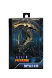 Figura Alien vs predatos 7" 22cm Razor Claw,Chrysalis,Arachnoid  Neca Precio por cada Uno NC-51717