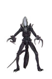 Figura Alien vs predatos 7" 22cm Razor Claw,Chrysalis,Arachnoid  Neca Precio por cada Uno NC-51717