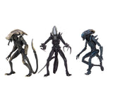 Figura Alien vs predatos 7" 22cm Razor Claw,Chrysalis,Arachnoid  Neca Precio por cada Uno NC-51717