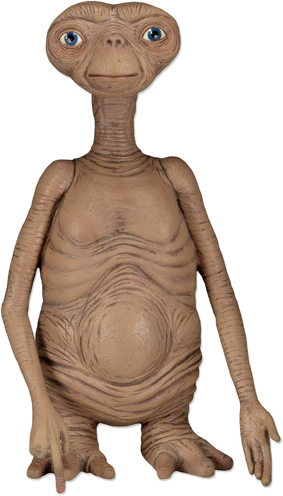 Figura E.T. Foam 12